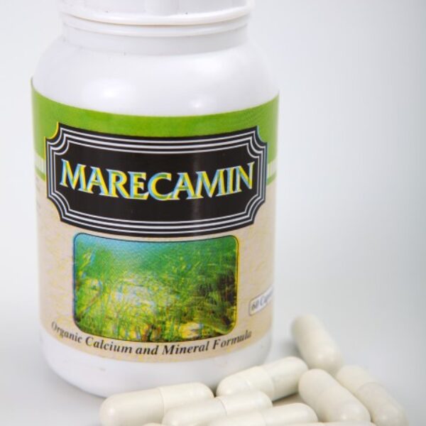 Marecamin x 60 Capsules
